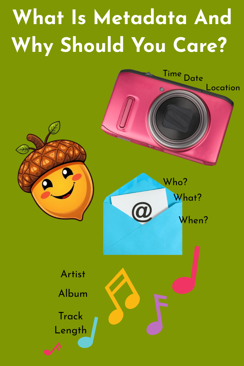 What Is Metadata - A Simple Guide (and Why It Matters for Your Website)