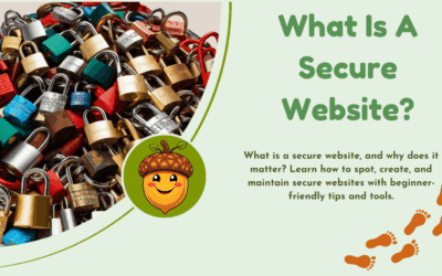 What is a secure website?