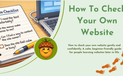 How to Check Your Own Website
